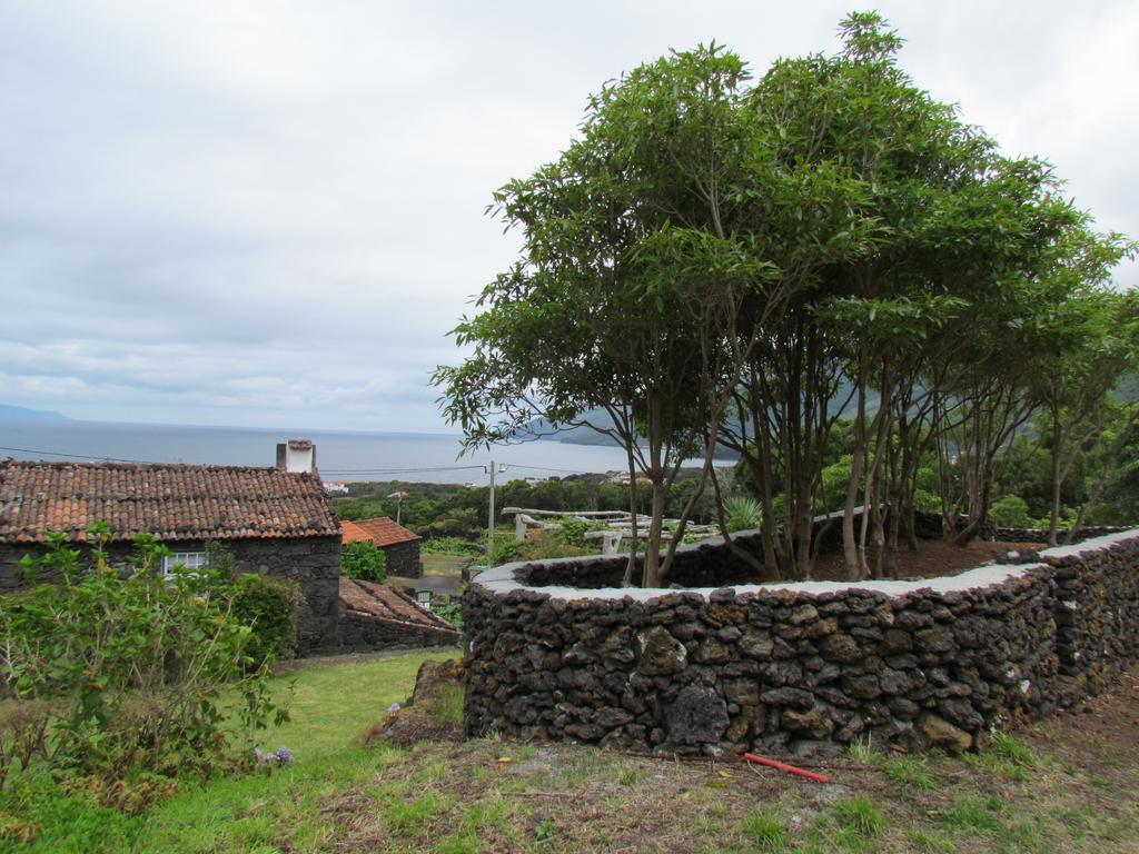 Casas De Campo Housesinpico Prainha  Exteriör bild