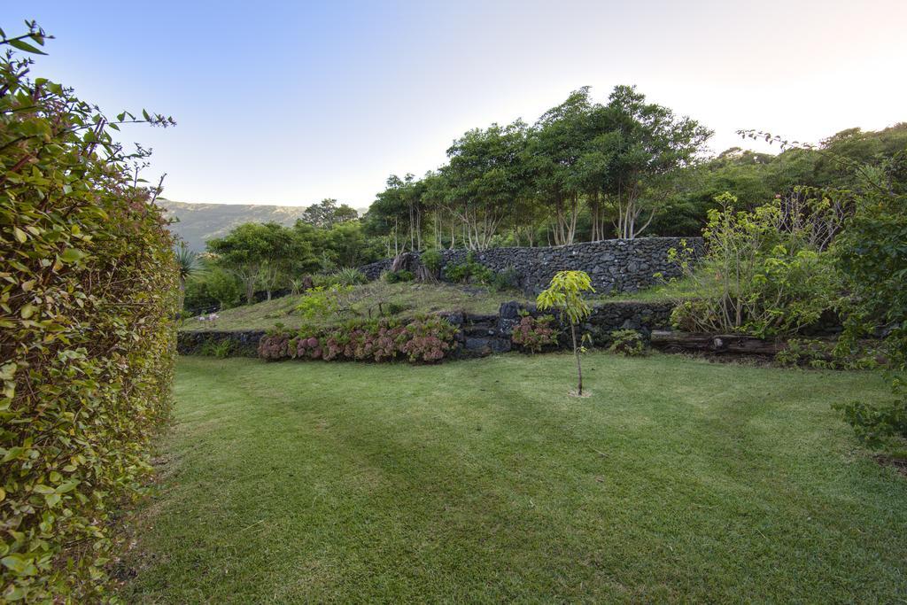 Casas De Campo Housesinpico Prainha  Exteriör bild